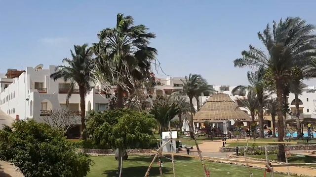 Египет пляж отеля Queen Sharm Resort Egypt Beach Hotel Queen Sharm Resort