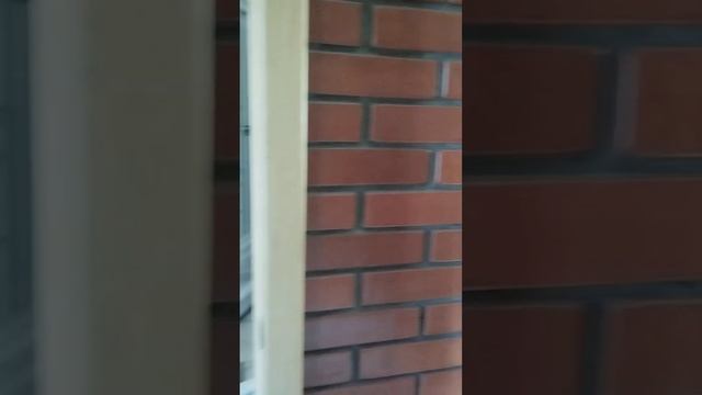 объявление Авито 1 этаж с русской печкой смотреть онлайн