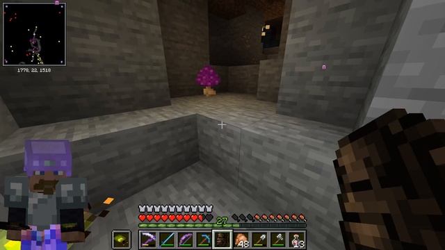 Выживание в мире чудес и магии (Часть 8) | Добыча ресурсов в сумеречном лесу, Замок Лича смотреть онлайн