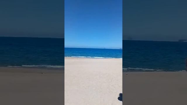 13 марта 2020. Видео из чата туристов. Нячанг. Район центрального парка. смотреть онлайн