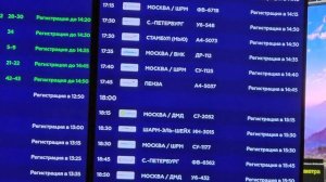 Полный обзор Аэропорта Адлер-Сочи 2024