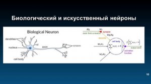 Типы нейронных сетей и модель искусственного нейрона