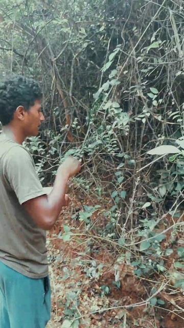 Parampoluvlog #short #viral@ TELUGU VLOGS WITH PRAVEEN смотреть онлайн