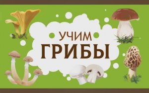 Изучаем Грибы. Карточки Домана для детей. Глобальное чтение. Учимся говорить.