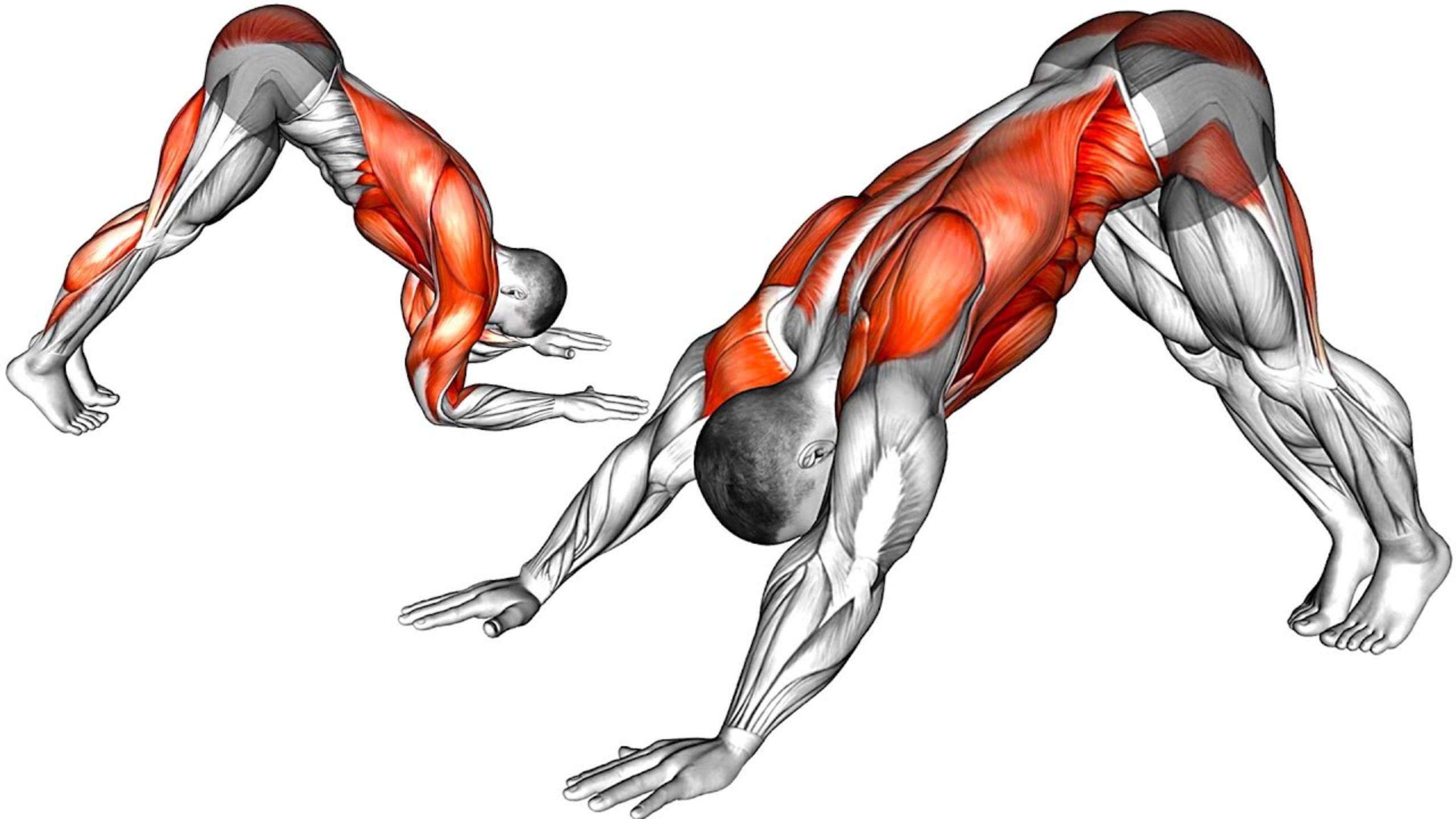 9 упражнений для здоровья и благополучия смотреть онлайн