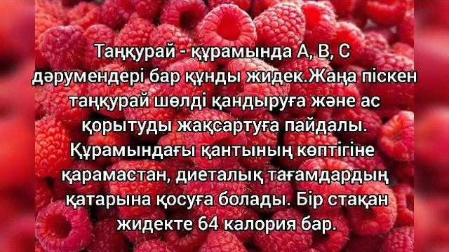 МАЛИНА. ТАҢҚУРАЙ. ТАНКУРАЙ. ТАҢҚУРАЙДЫҢ ПАЙДАСЫ🩷🍓🍇🍒🫐