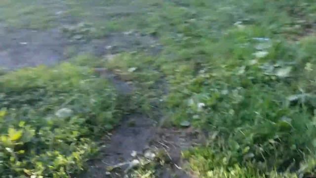 Мы на пруду! Ура!!! #2 смотреть онлайн