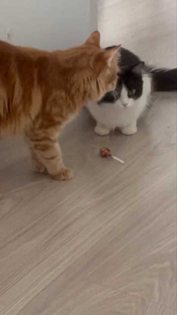 Ах, эти сомнения... смотреть онлайн