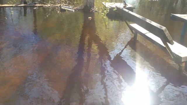 Глэмпинг. Дом. На даче.Спортбаза. Объединение. смотреть онлайн