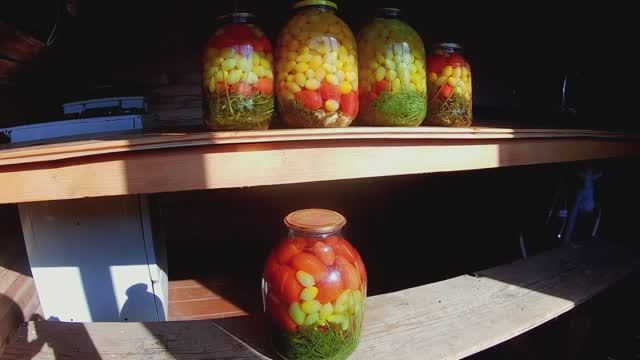 Самый бюджетный способ вырастить помидоры в минипарнике теплице