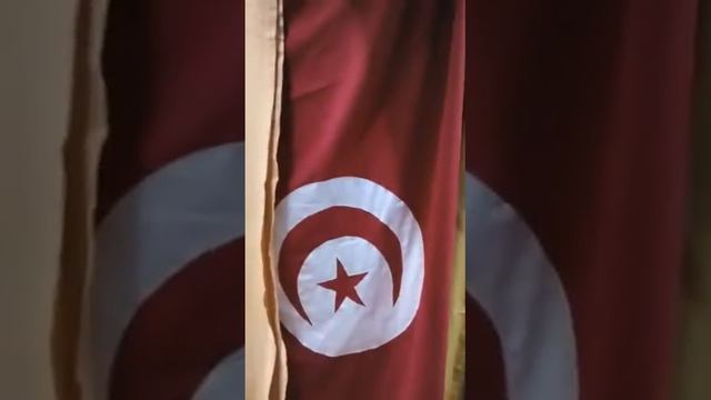 Тунис Монастир , медина изготовление верблюжего одеяла смотреть онлайн