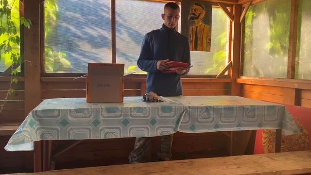 Распаковка коробки|Снаряжение смотреть онлайн