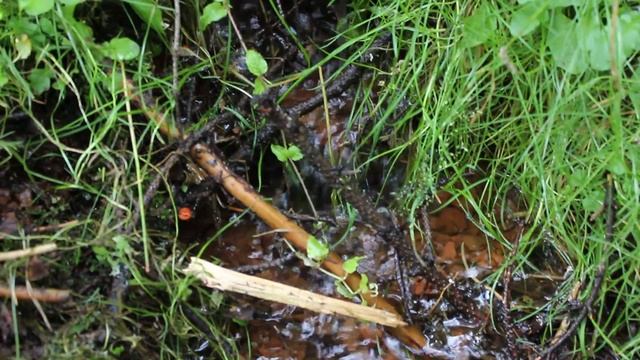 MVI 2017-09-03 Тылыс 3717 смотреть онлайн