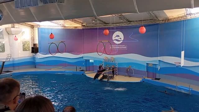 ВЛОГ В СОЧИ | АДЛЕР 2024 | Обзор отеля Сочи парк отель 3* смотреть онлайн