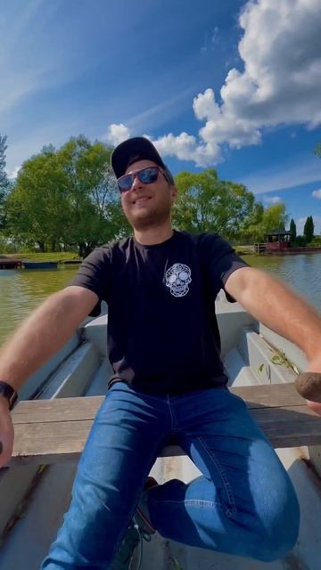 Где покататься в МО на лошадях? #москва смотреть онлайн