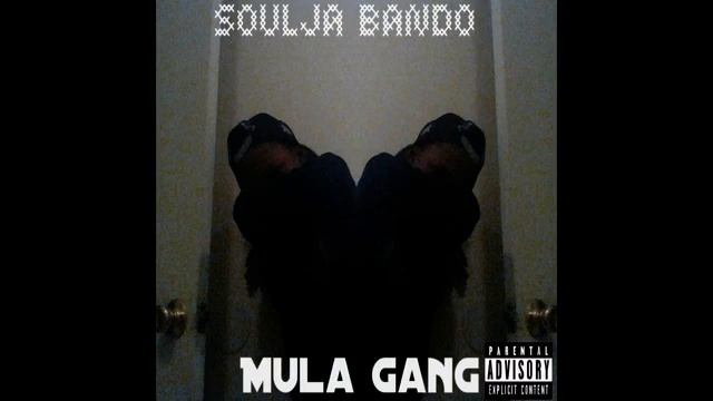 Soulja Bando Mula Gang(Official Audio)