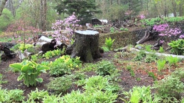 ポール・スミザー　ピクチャレスクガーデン　No.10 смотреть онлайн