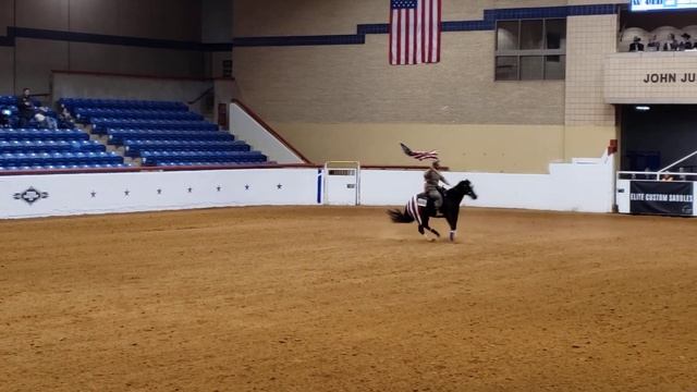 Appaloosa Free Style Reining смотреть онлайн