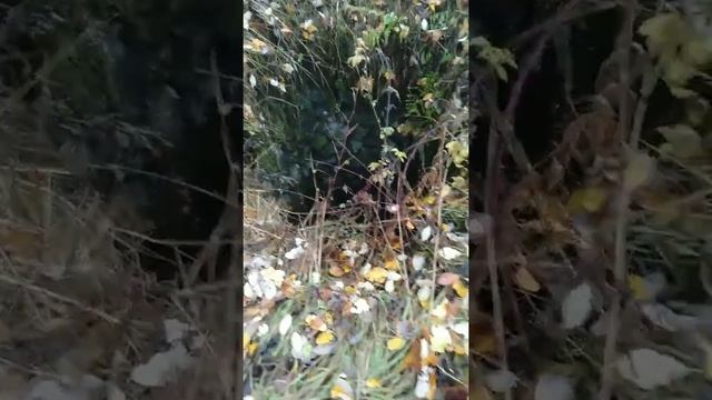Коп на барском доме смотреть онлайн