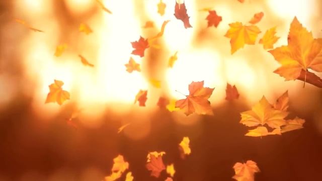 Ее отражение смотреть онлайн