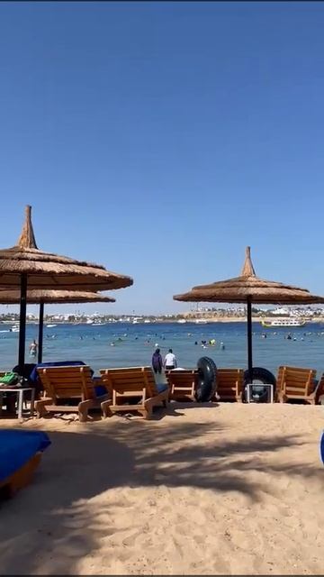 Египет, Шарм-эль-Шейх, Marina Sharm 4* (пляж), 11.07.23 – 20.07.23. смотреть онлайн