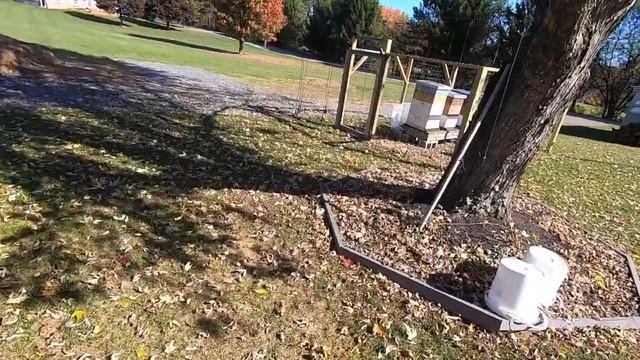 Trapping Coyotes and Fox 2019-20 Trap Preparation смотреть онлайн
