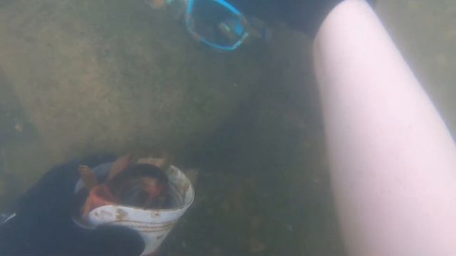 Found A Tiny Digital Camera In Fast Moving Water!