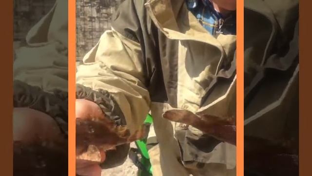 Морская рыбалка в Бетте!#морскаярыбалка#морскойулов#рыбалканасиликон смотреть онлайн