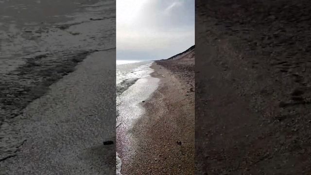 5 июня 2024. Благовещенская. На море. Встреча с дельфином)))) смотреть онлайн