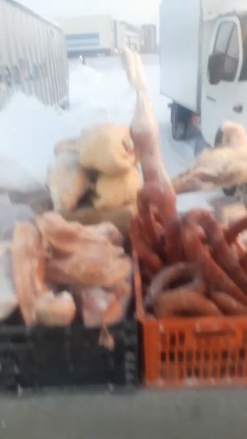 Домашнее мясо новый уренгой смотреть онлайн