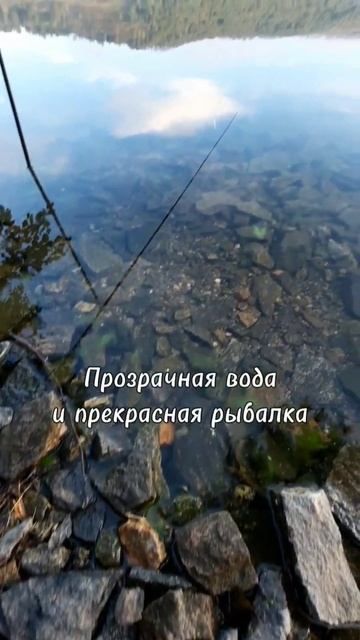 Где найти тихое, уютное местечко для отдыха? смотреть онлайн