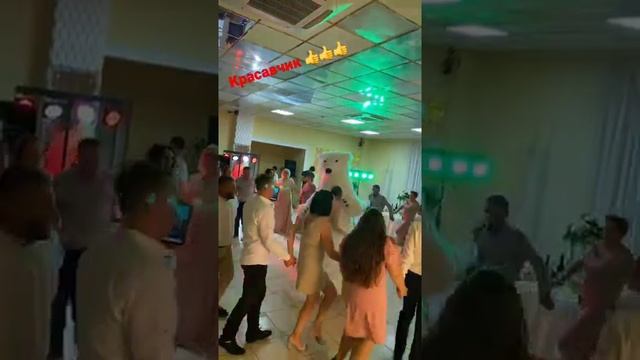 Поздравление белого Мишки 💖 смотреть онлайн