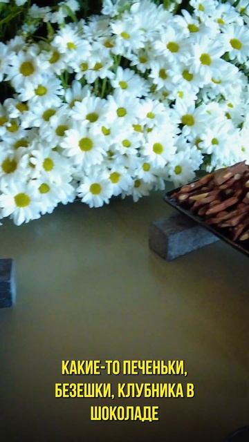 Как встречают в отеле NG Phaselis Bay смотреть онлайн