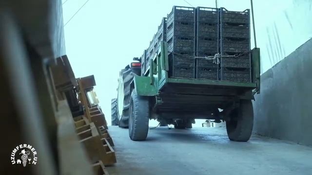 Uzumfermer видео обзор смотреть онлайн