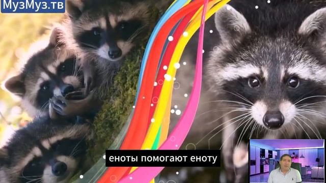 Животные спасают друг друга. Если бы это не СНЯЛИ НА КАМЕРУ, никто бы не поверил. смотреть онлайн