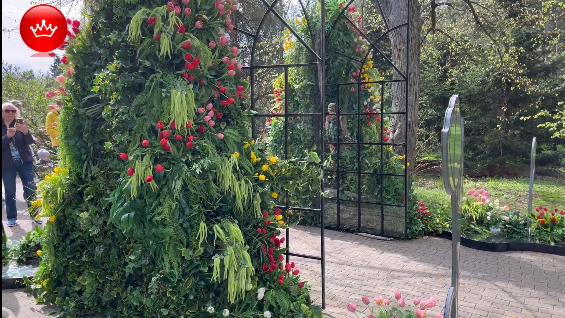 🌺Парад тюльпанов 2025 Краснодар. смотреть онлайн