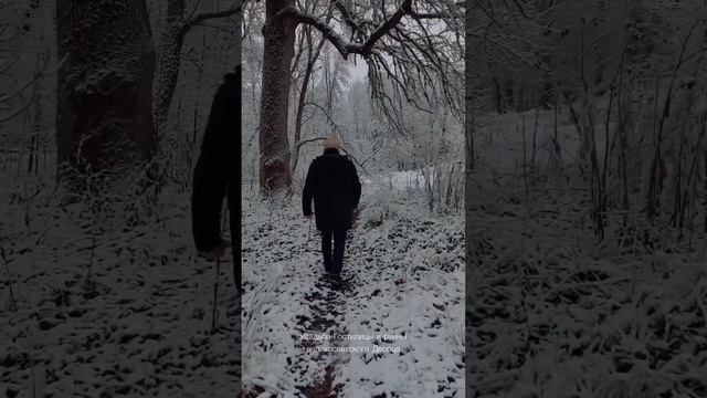 Спецпроект бутик-отеля «Северный цветок» Зимние прогулки с Николаем Сальниковым, серия 1 смотреть онлайн