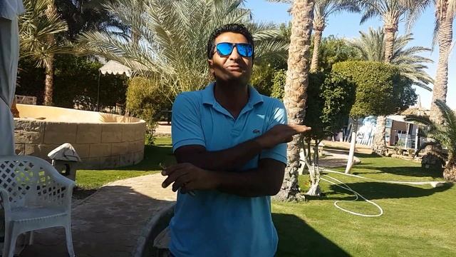 Веселый египтянин смотреть онлайн