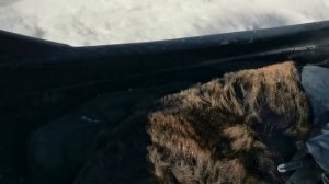 Охота на больших медведей в хребте Хамар-Дабан.