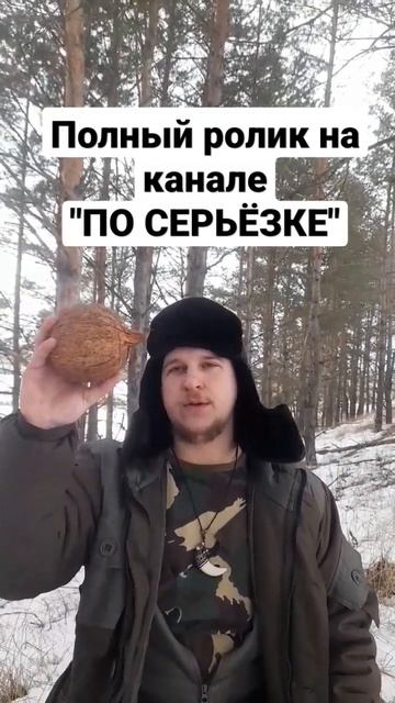 таёжный орех #выживание #охотарыбалка #охотавроссии #безмотылка смотреть онлайн