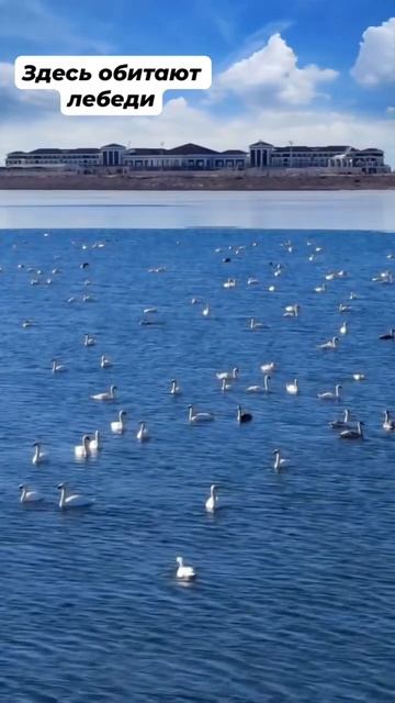 Озеро Караколь, Казахстан #vacation смотреть онлайн