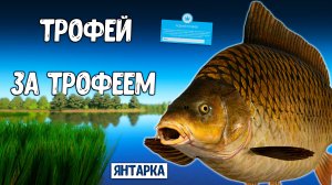 RF4 ЭТО БЫЛ ПРОСТО ТРОФЕЙНЫЙ ДЕНЬ #рр4