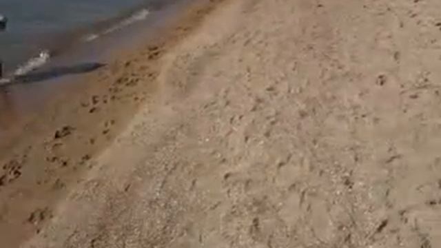 Видео0027.mp4 смотреть онлайн