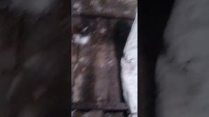 замена щёток генератора ваз 2107 #ремонт