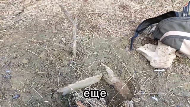Выживание в лесу (с друзьями ) часть 2 смотреть онлайн
