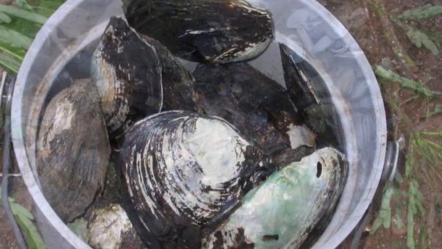 Unionid Rap Video.wmv смотреть онлайн