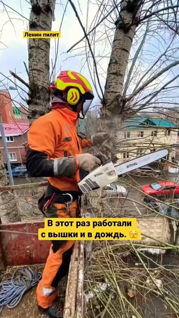 Нечасто работаем с вышкой, но в ней есть плюсы. Ленин пилит. Арбористы Москва и МО. смотреть онлайн