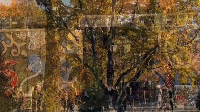 Любимая Москва. смотреть онлайн