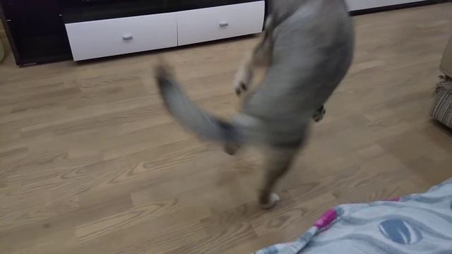 Ловись рыбка большая и маленькая! смотреть онлайн