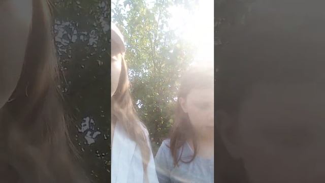 Нашли голубя который не летает 🐦 смотреть онлайн